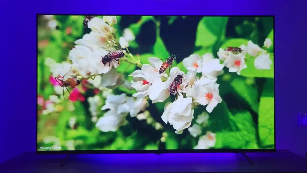 Next YE-58020GFSG5 58" 147 Ekran Uydu Alıcılı UHD Android LED TV 5 image 4
