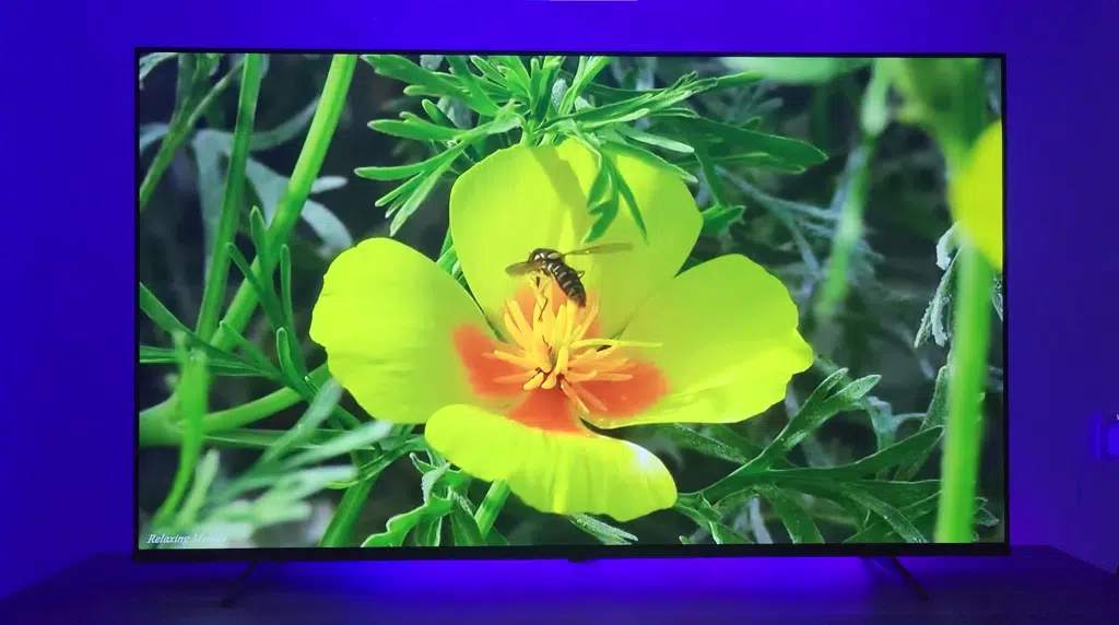 Next YE-58020GFSG5 58" 147 Ekran Uydu Alıcılı UHD Android LED TV 2 image 5